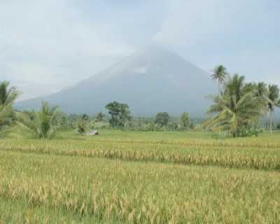 Mayon vulcano